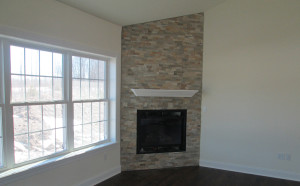 Living Room Fireplace