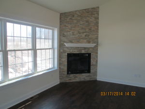 Living Room Fireplace